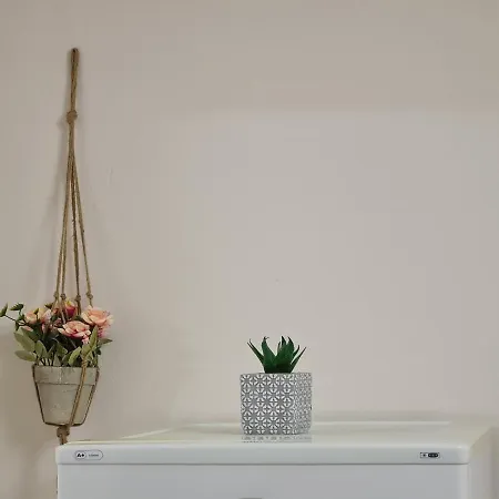 Downtown Boulevard With A Cute Balcony! Apartment *